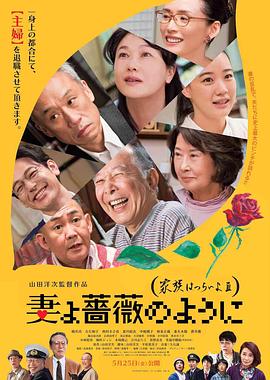小马宝莉动画片中文版