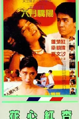 欧美zz
