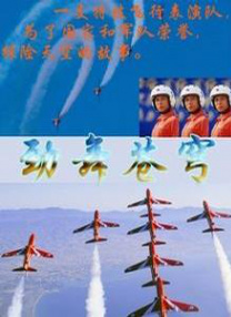 久久久久久久久久综合情日本