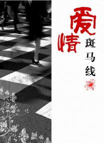 国产精品视屏