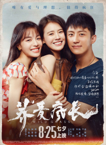 sm车文