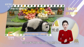 视频一区二区精品的福利